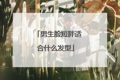 男生脸短胖适合什么发型