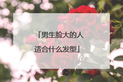 男生脸大的人适合什么发型