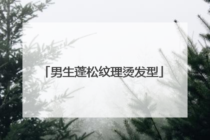 男生蓬松纹理烫发型