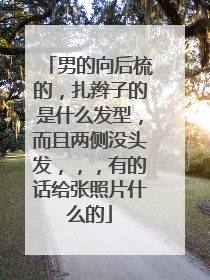 男的向后梳的,扎辫子的是什么发型,而且两侧没头发,,,有的话给张照片什么的