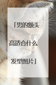 男的额头高适合什么发型图片