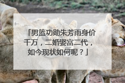 男篮功勋朱芳雨身价千万，二婚娶富二代，如今现状如何呢？