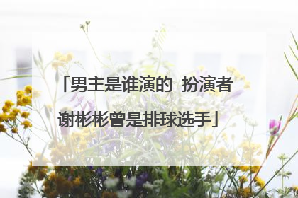 男主是谁演的 扮演者谢彬彬曾是排球选手