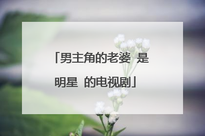 男主角的老婆 是明星 的电视剧