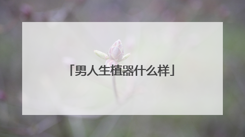 男人生植器什么样