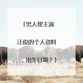 男人帮主演 汪俊的个人资料，出生日期？