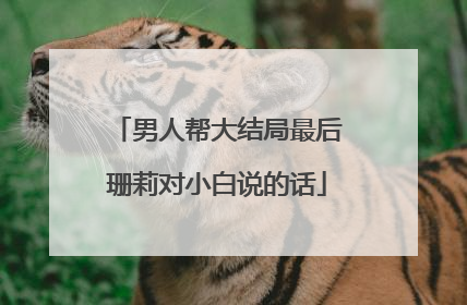 男人帮大结局最后珊莉对小白说的话