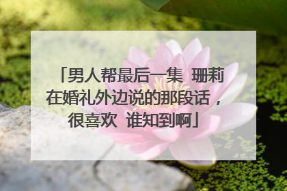 男人帮最后一集 珊莉在婚礼外边说的那段话，很喜欢 谁知到啊
