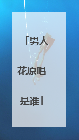 男人花原唱是谁