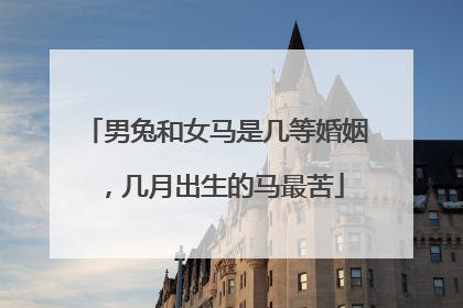 男兔和女马是几等婚姻，几月出生的马最苦