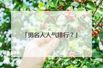 男名人人气排行？
