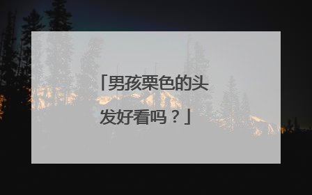 男孩栗色的头发好看吗？