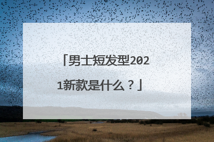 男士短发型2021新款是什么?