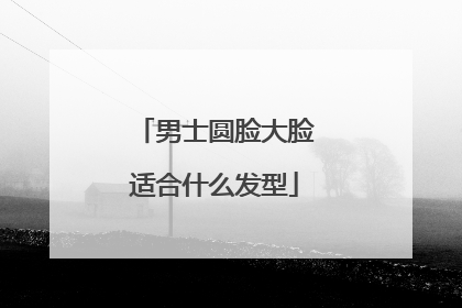 男士圆脸大脸适合什么发型