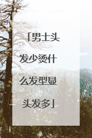 男士头发少烫什么发型显头发多