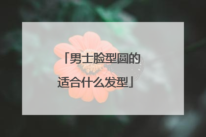 男士脸型圆的适合什么发型