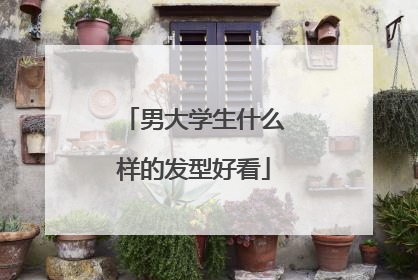 男大学生什么样的发型好看