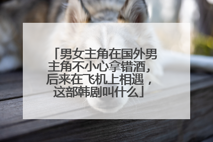 男女主角在国外男主角不小心拿错酒,后来在飞机上相遇,这部韩剧叫什么