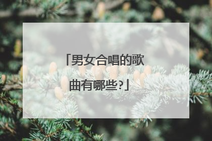 男女合唱的歌曲有哪些?