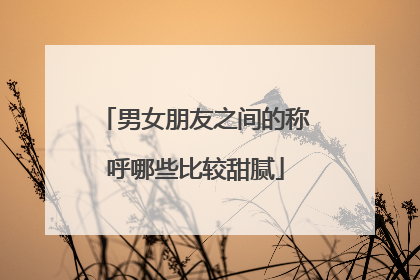 男女朋友之间的称呼哪些比较甜腻