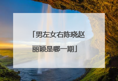 男左女右陈晓赵丽颖是哪一期