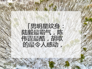 男明星纹身：陆毅最霸气，陈伟霆最酷，胡歌的最令人感动，你怎么看？