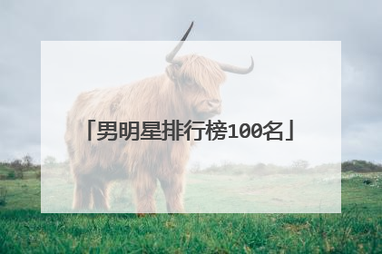 男明星排行榜100名