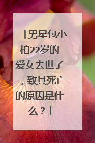 男星包小柏22岁的爱女去世了,致其死亡的原因是什么?