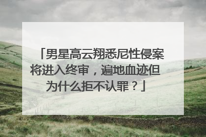 男星高云翔悉尼性侵案将进入终审，遍地血迹但为什么拒不认罪？