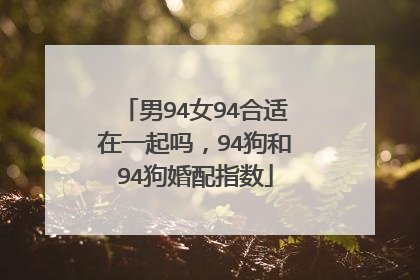 男94女94合适在一起吗，94狗和94狗婚配指数