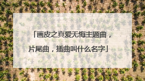 画皮之真爱无悔主题曲，片尾曲，插曲叫什么名字