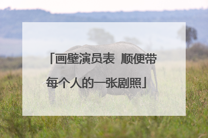 画壁演员表 顺便带每个人的一张剧照