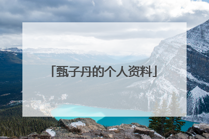 甄子丹的个人资料