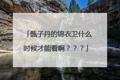 甄子丹的锦衣卫什么时候才能看啊？？？