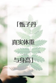 甄子丹真实体重与身高