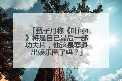 甄子丹称《叶问4》将是自己最后一部功夫片，他这是要退出娱乐圈了吗？