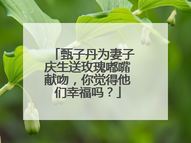 甄子丹为妻子庆生送玫瑰嘟嘴献吻,你觉得他们幸福吗?