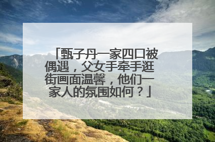 甄子丹一家四口被偶遇，父女手牵手逛街画面温馨，他们一家人的氛围如何？