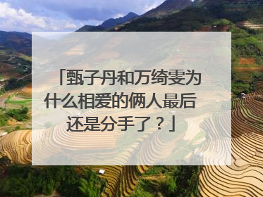 甄子丹和万绮雯为什么相爱的俩人最后还是分手了?