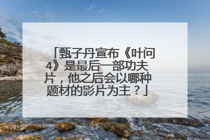 甄子丹宣布《叶问4》是最后一部功夫片，他之后会以哪种题材的影片为主？