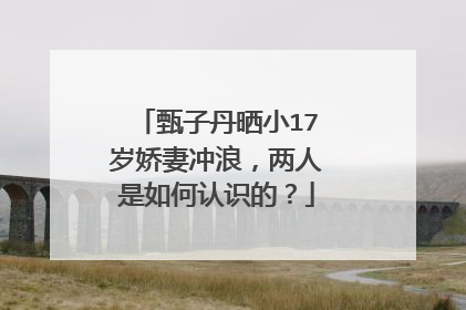 甄子丹晒小17岁娇妻冲浪,两人是如何认识的?