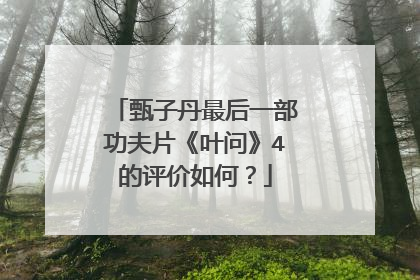 甄子丹最后一部功夫片《叶问》4的评价如何?
