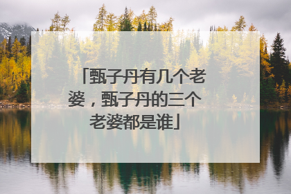 甄子丹有几个老婆,甄子丹的三个老婆都是谁