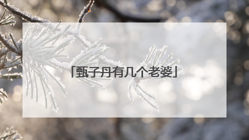 甄子丹有几个老婆