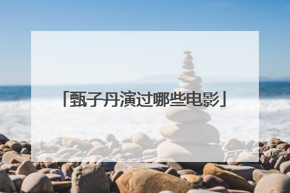 甄子丹演过哪些电影