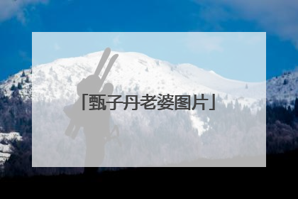 甄子丹老婆图片