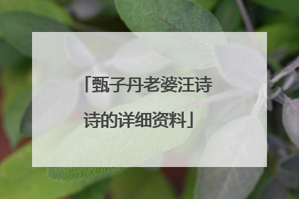 甄子丹老婆汪诗诗的详细资料