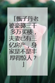 甄子丹老婆豪掷三千多万买楼，夫妻已有三亿房产，身家是不是丰厚得惊人？