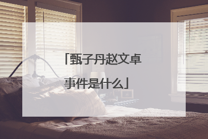 甄子丹赵文卓事件是什么