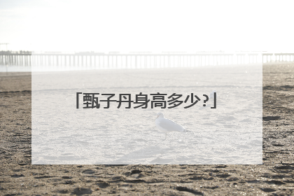 甄子丹身高多少?